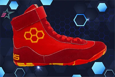 کفش کشتی رودیس