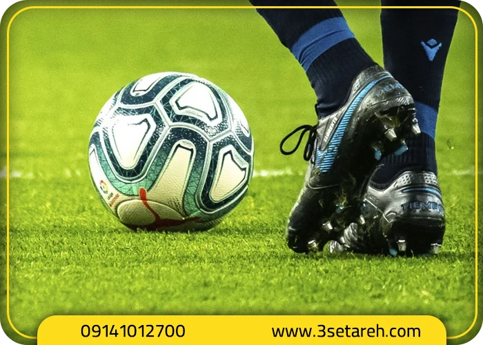 انواع زمین و نقش گل میخ‌ها